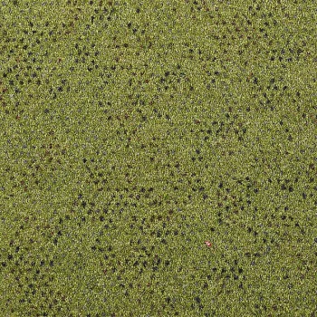 Preview: Girloon Caprice 440 – Draufsicht auf Girloon Caprice 440, zeigt eine gleichmäßige, samtige Oberfläche in elegantem Farbton.